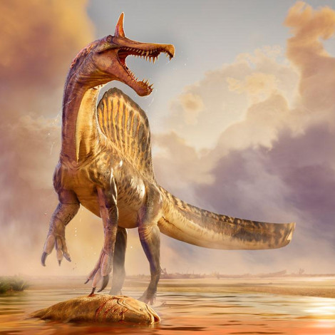 spinosaurus-mirabilis-over-coelacanth-on-beach-1380.jpg